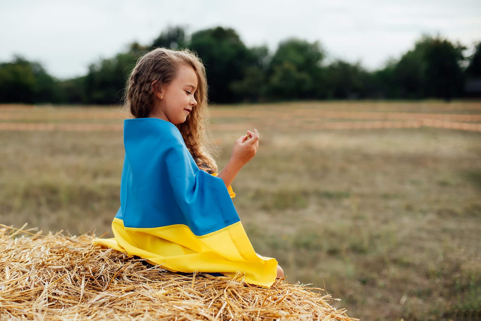 Ukrainian child girl in embroidered shirt vyshyvanka with yellow and blue flag of Ukraine in field.