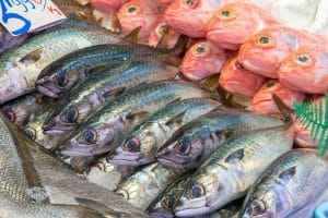 Fresh fish for sale at a market