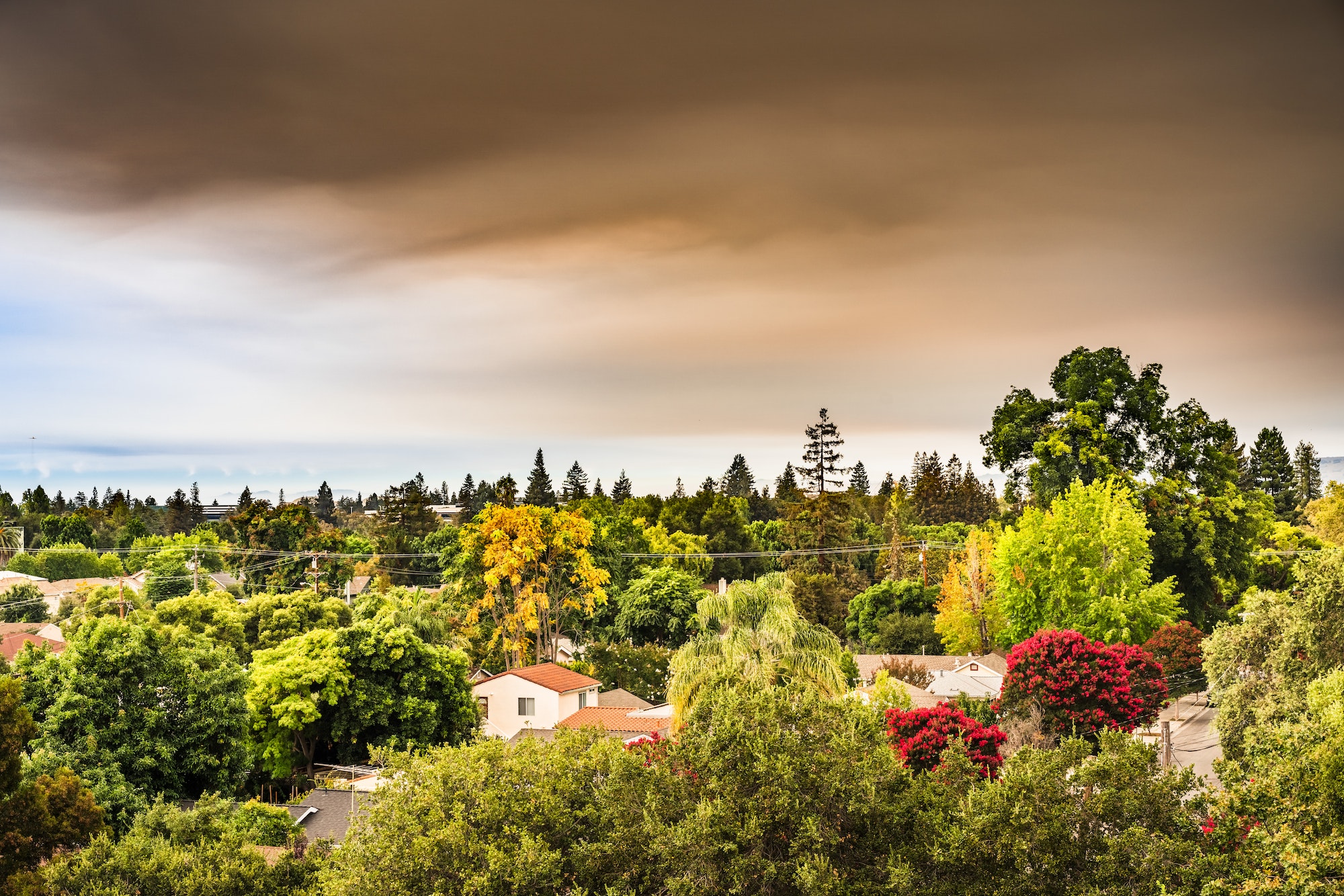 Smoke cloud over a suburb