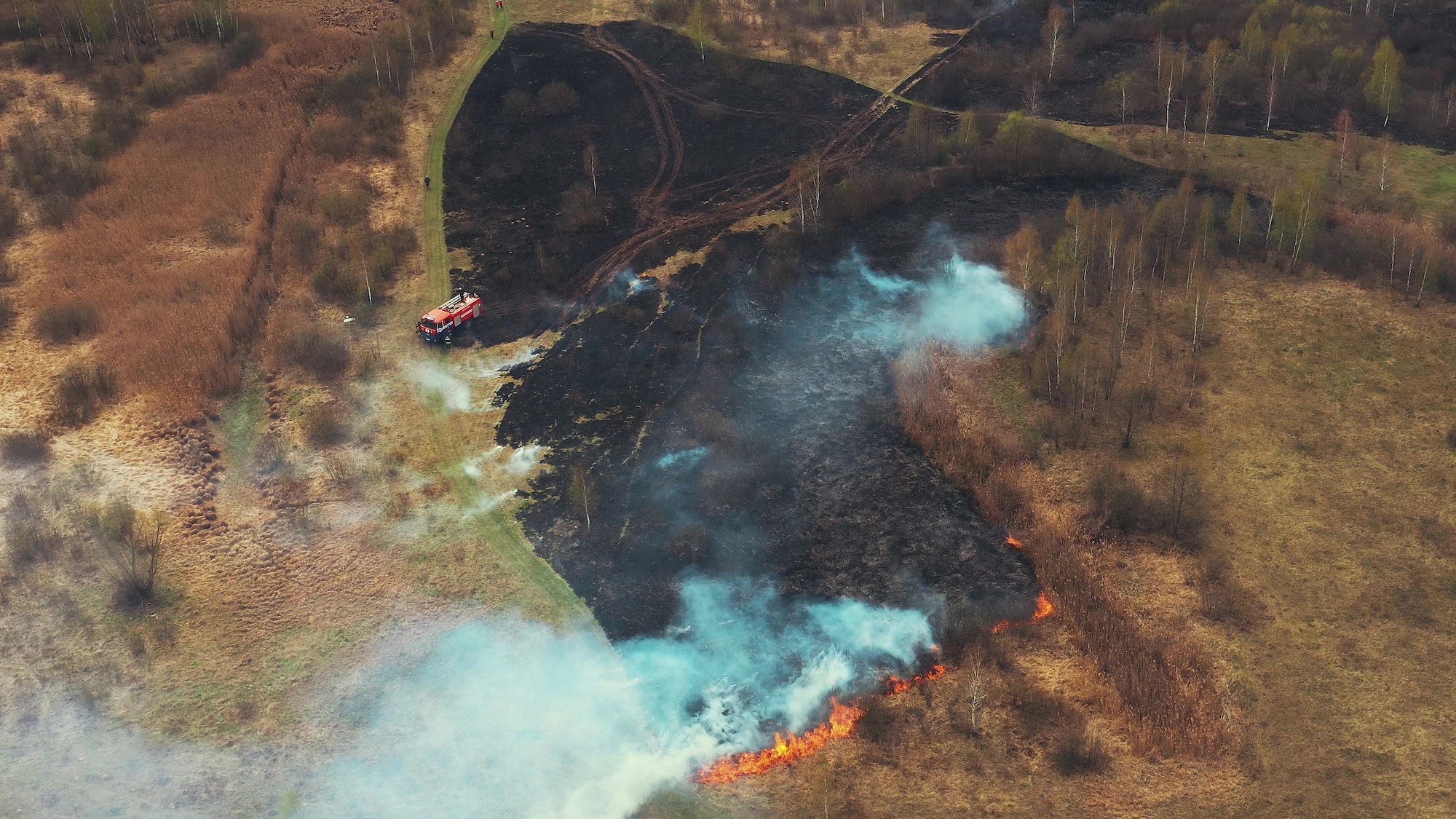 Drought Bush Fire And Smoke. Fire Engine, Truck On Firefighting Operation. Wild Open Fire Destroys