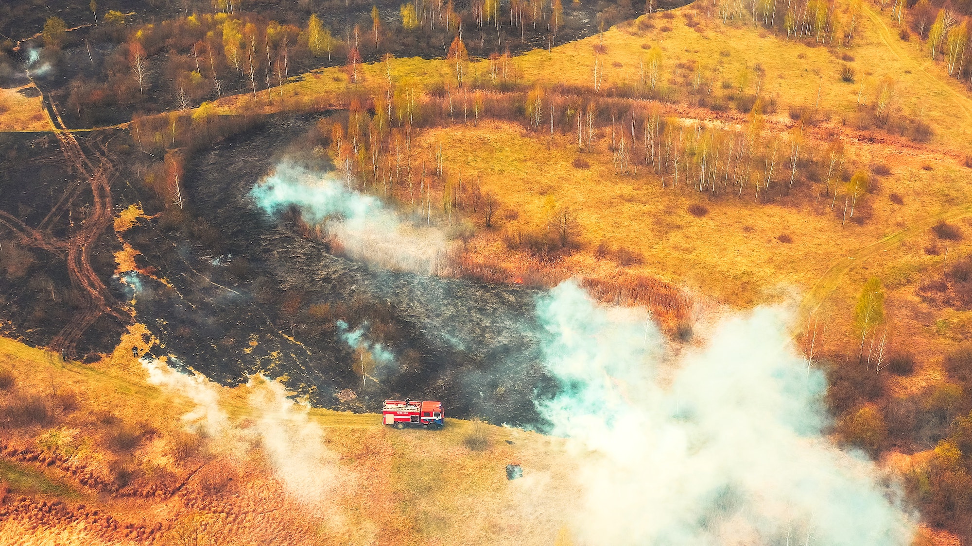 Bush Fire And Smoke. Drought Fire Engine, Truck On Firefighting Operation. Wild Open Fire Destroys