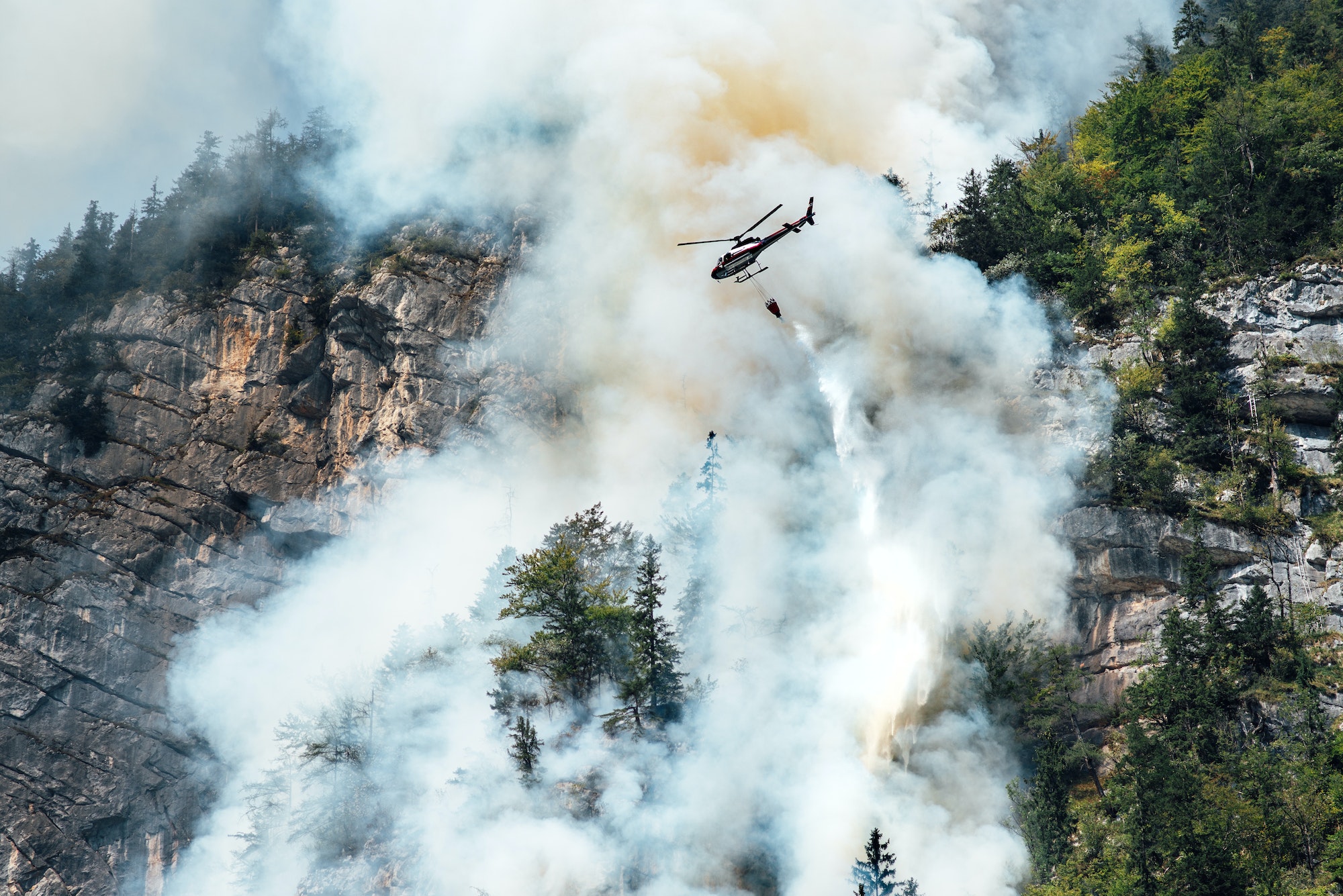 extinguishing a forest fire