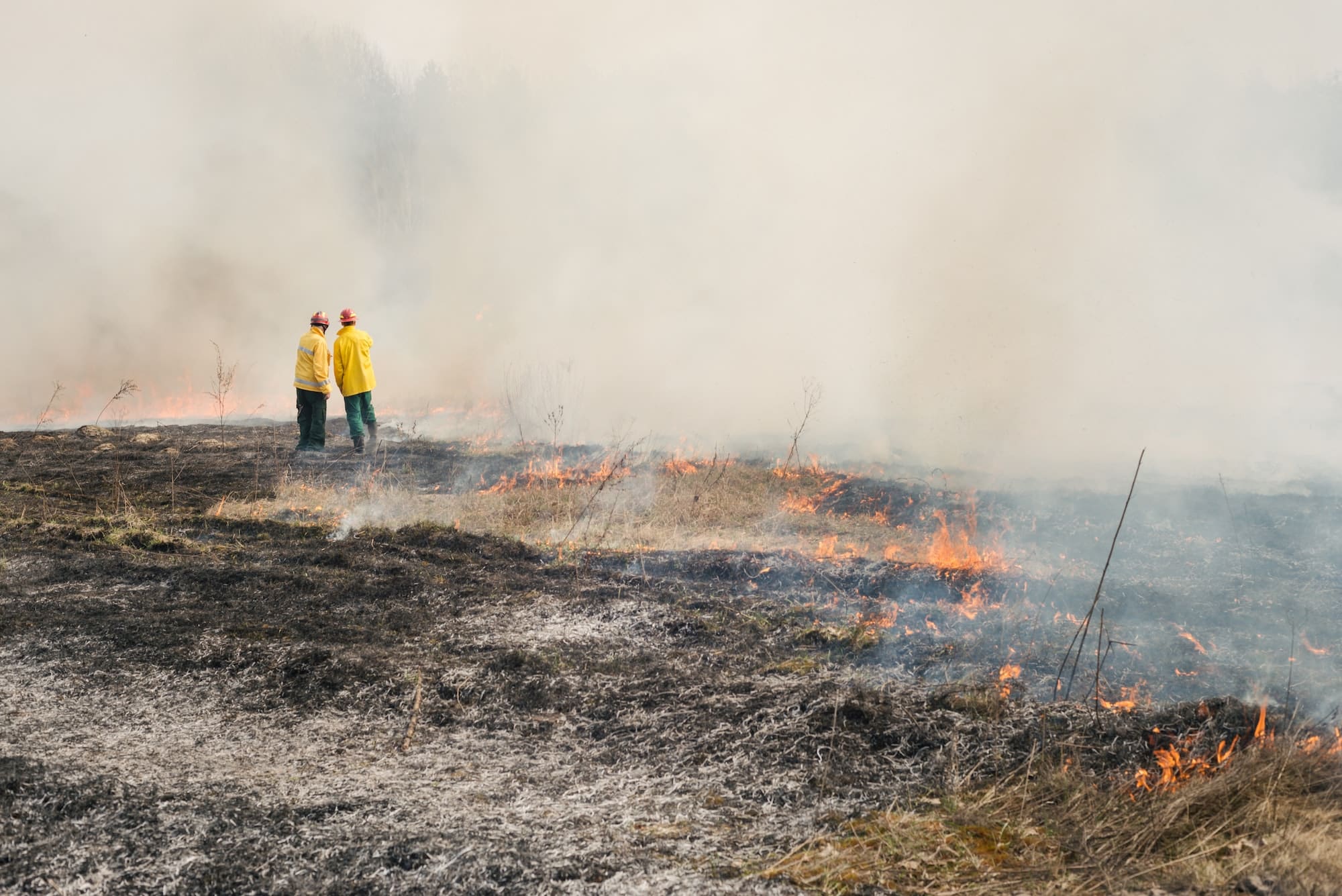 Firefighter on agriculture land after big fire