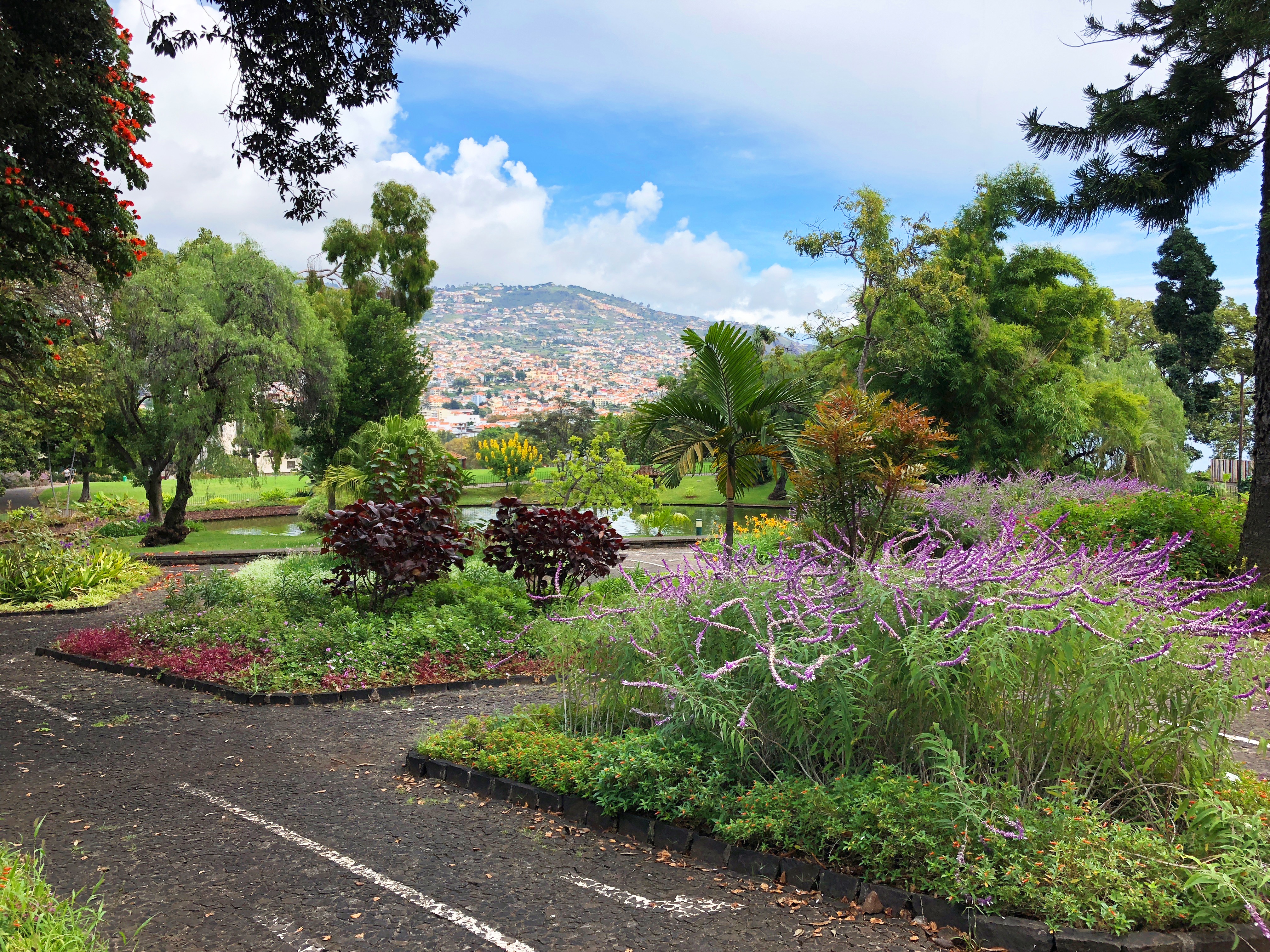 Beautiful garden of Madeira island, Portugal