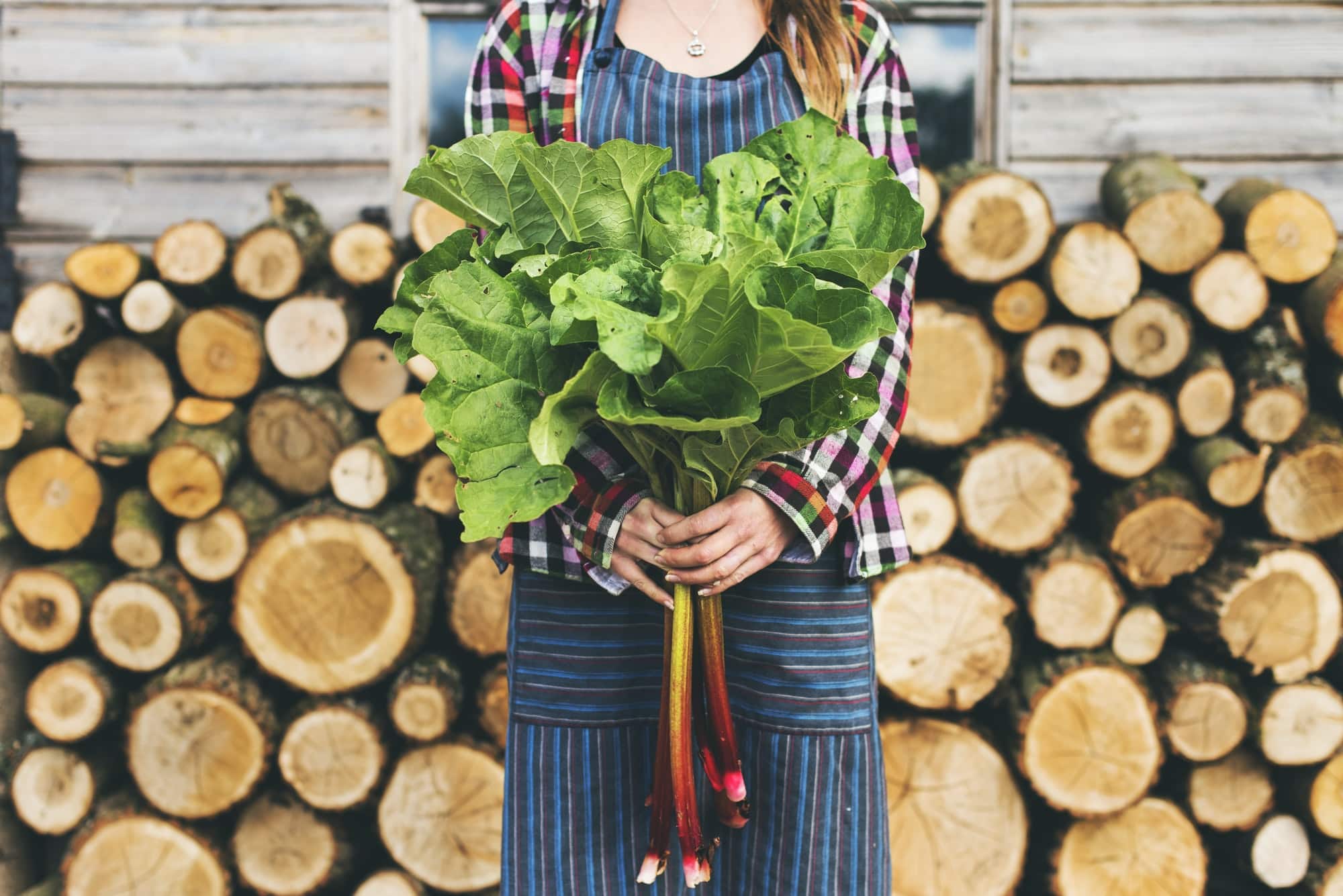 Farmers and timbers