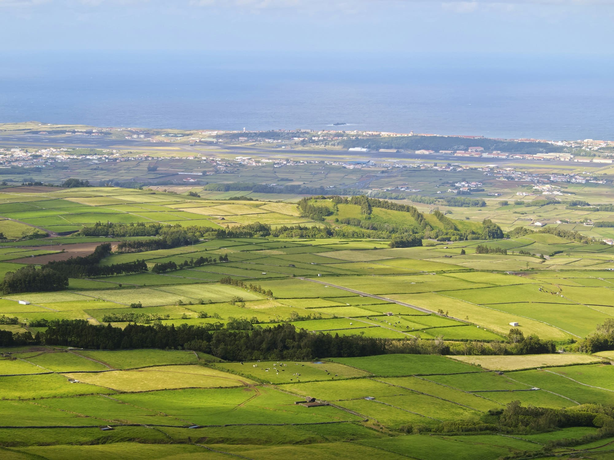 Landscape of Terceira Island