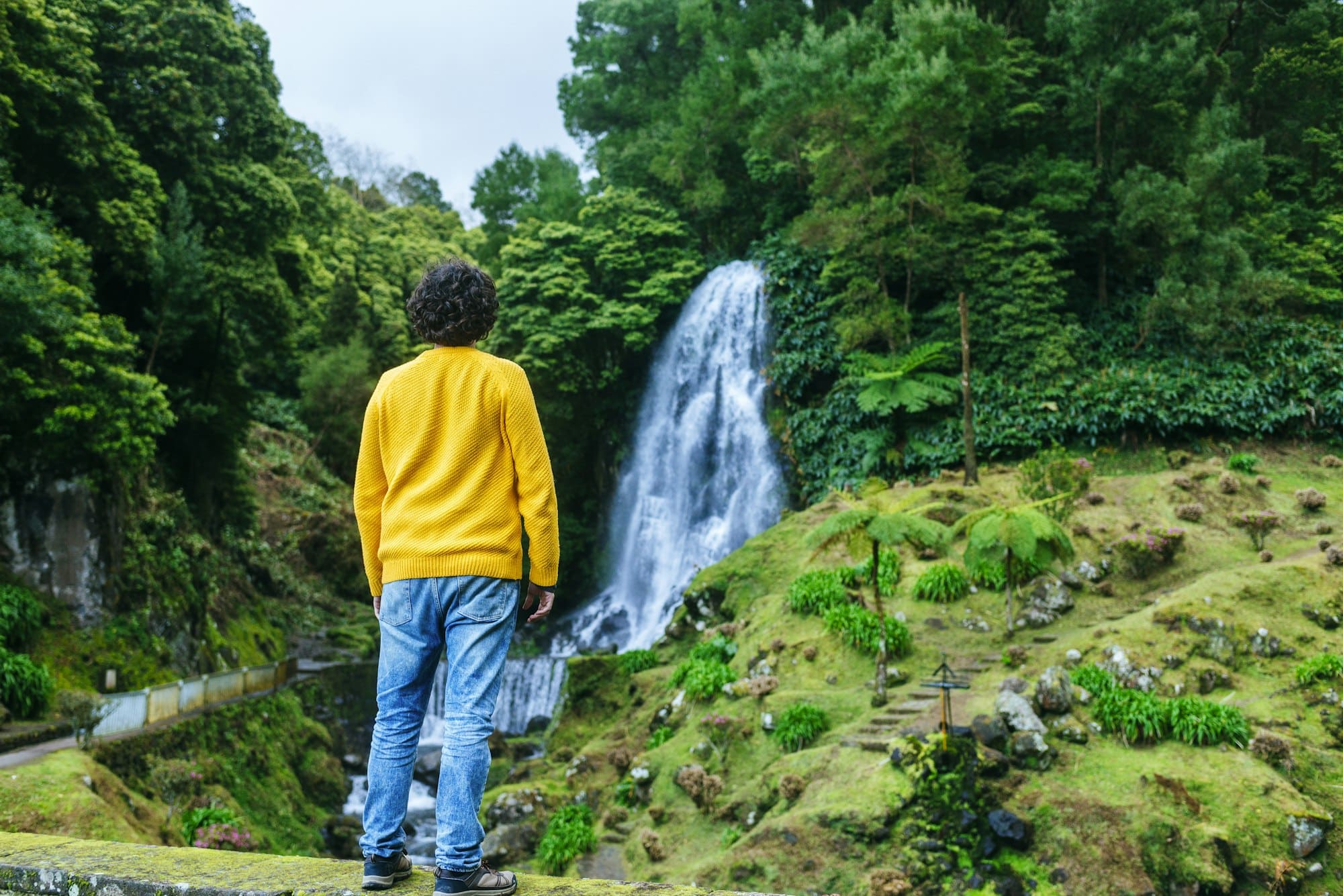 Azores, Sao Miguel, rear view of man looking at a waterfall in the Ribeira dos Caldeiroes Natural Pa