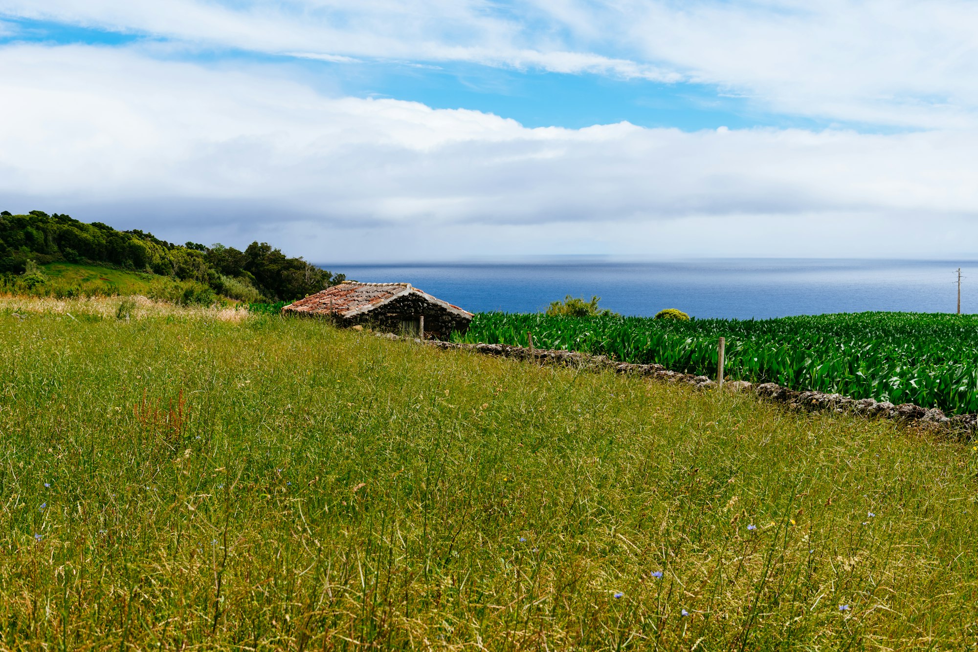 Traditional countryside landscape on the island of Terceira