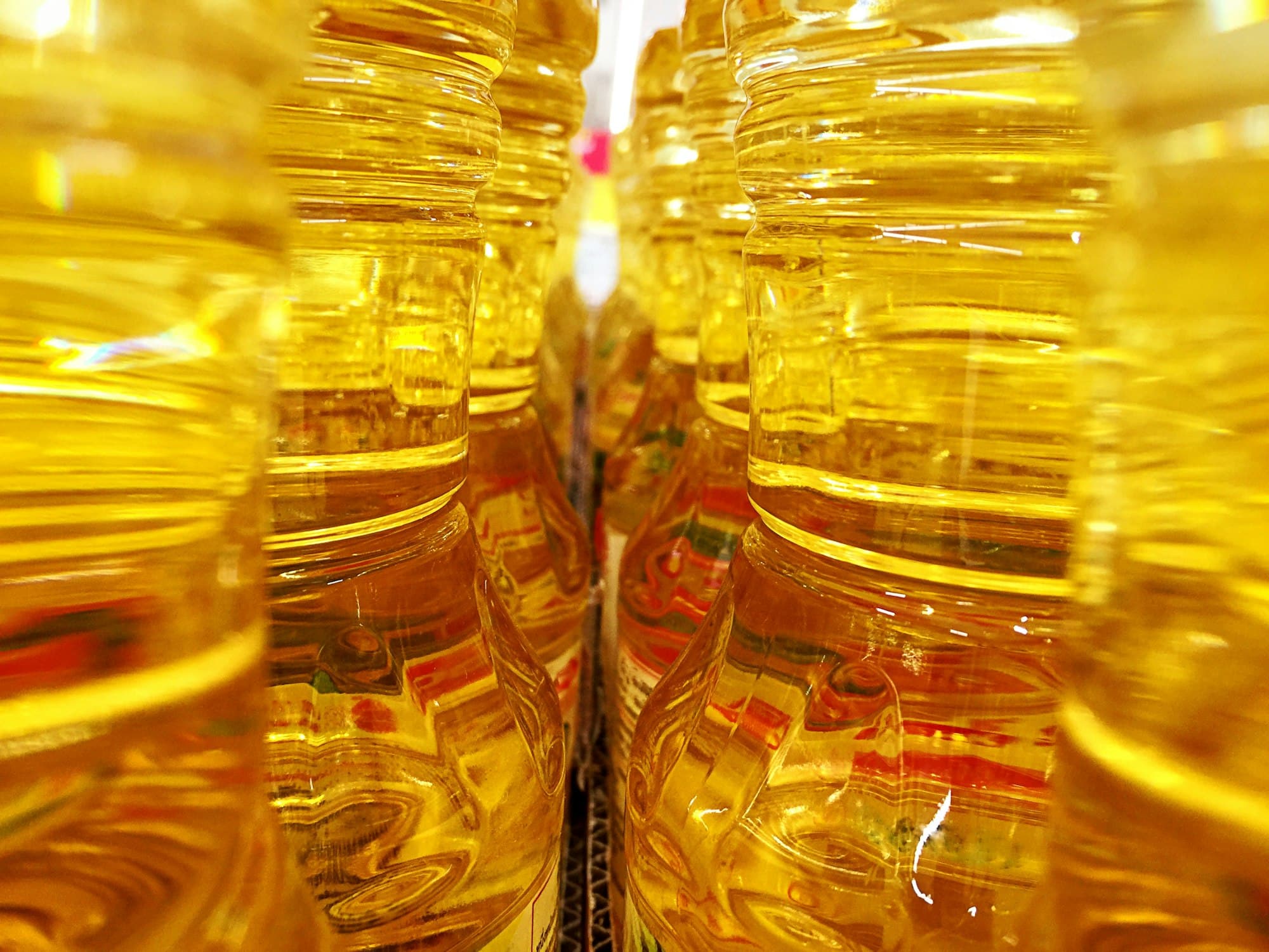 View Between Bottles of Golden Cooking Oil