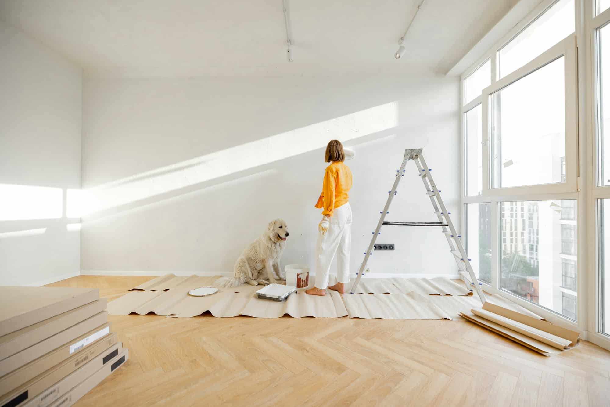 Woman with dog renovating house