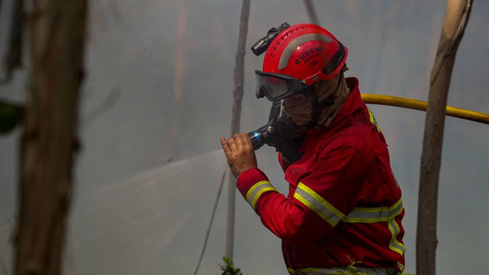 Bragança recorded the two largest fires of the year with 2,672 hectares burned