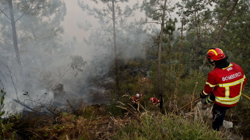 Wildfire in Celorico da Beira "is already being resolved"