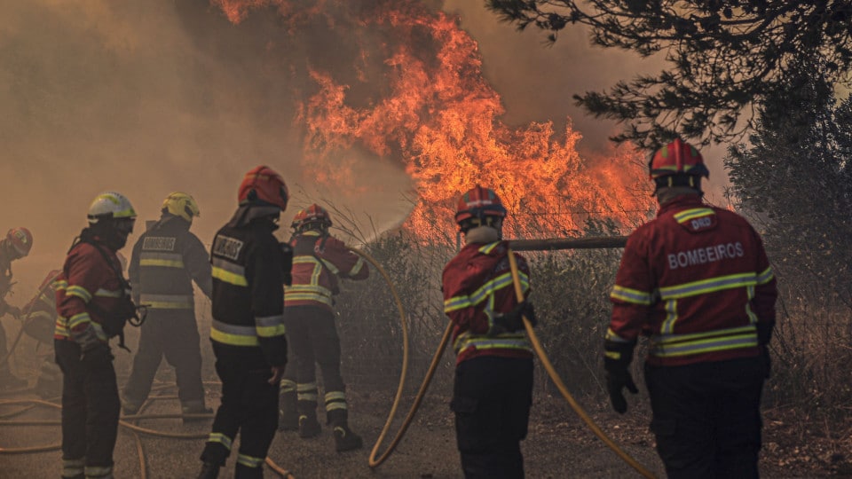 Vimioso and Bragança assess damages caused by Saturday's fires