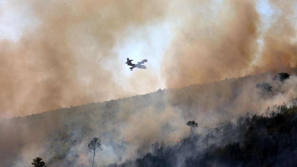 Fire in brush in Fornos de Algodres mobilizes ten aerial resources