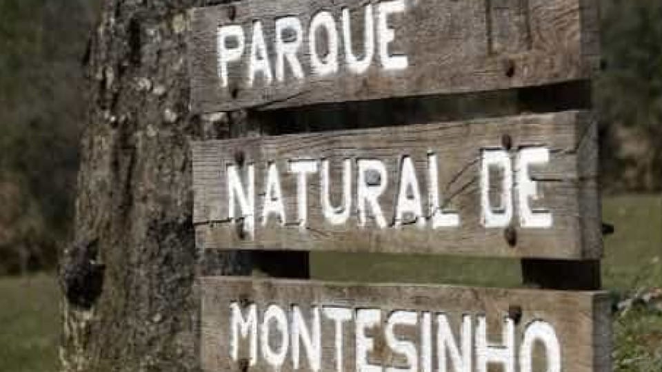 Montesinho Natural Park marks 45 years with new projects