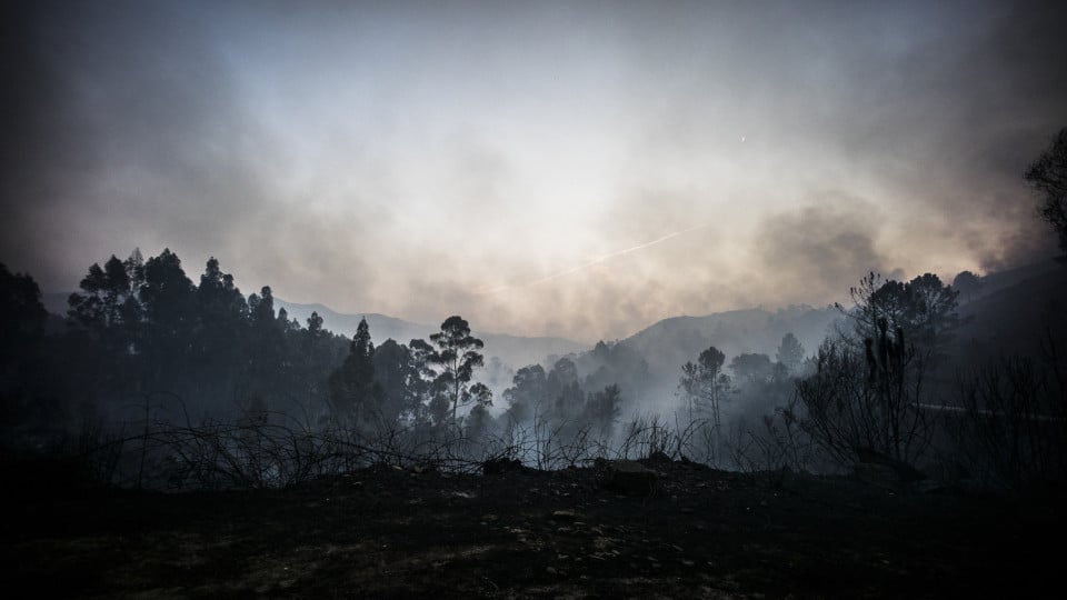 Fire in Arcos de Valdevez burns with intensity. No houses are in danger