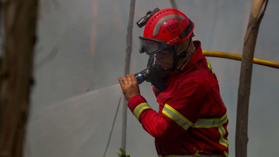 Fire that broke out in the municipality of Freixo de Espada à Cinta in conclusion