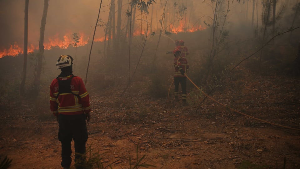 Fires: Fire reactivated in Freixo de Espada à Cinta