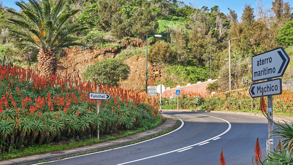 Despite the fire, Machico will light the torches and assures that there is safety