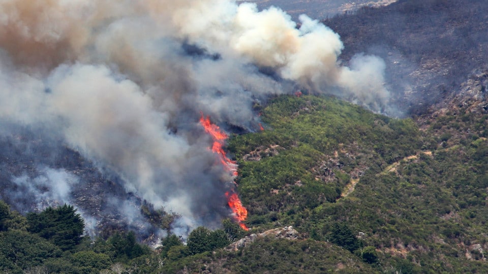 Madeira receives 80 firefighters from the Special Force in the next few hours