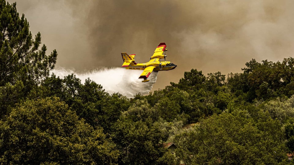 Reinforcement of aerial resources in Madeira is "necessary and urgent"