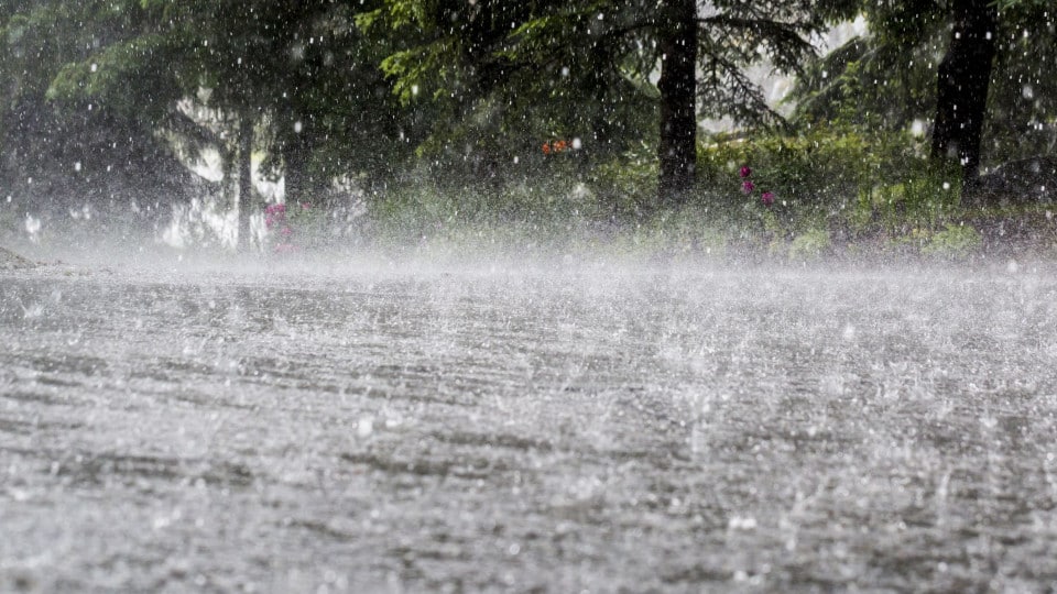 Yellow alert for Central and Eastern Groups of the Azores due to heavy rain