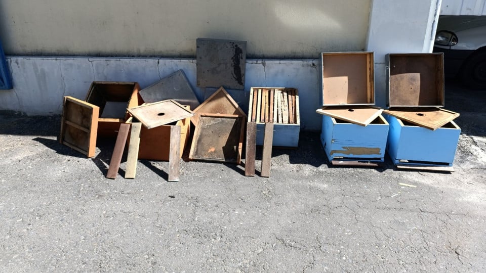 GNR catches duo who stole beehives and swarms in Chaves and Vila Real