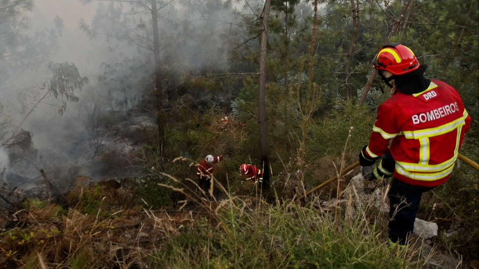 Six aerial assets and almost 290 firefighters combat flames in Montesinho