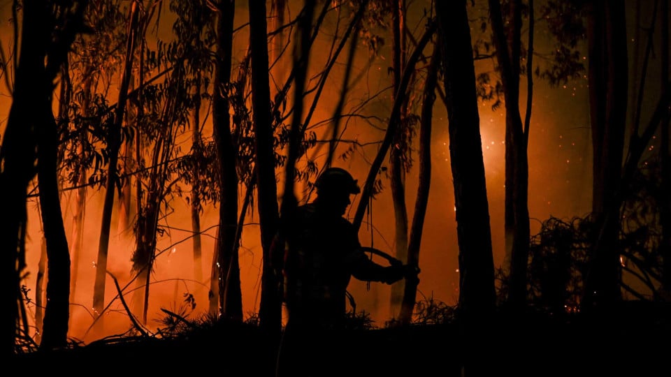 Fire in brush in Tabuaço with one active front