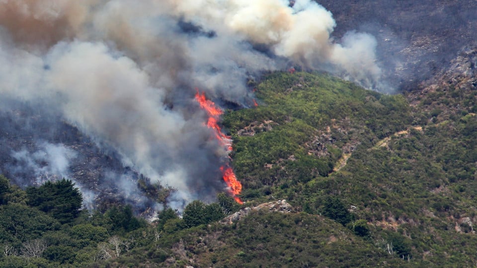 August is already the month with the most burned area in 2024 (double that of July)