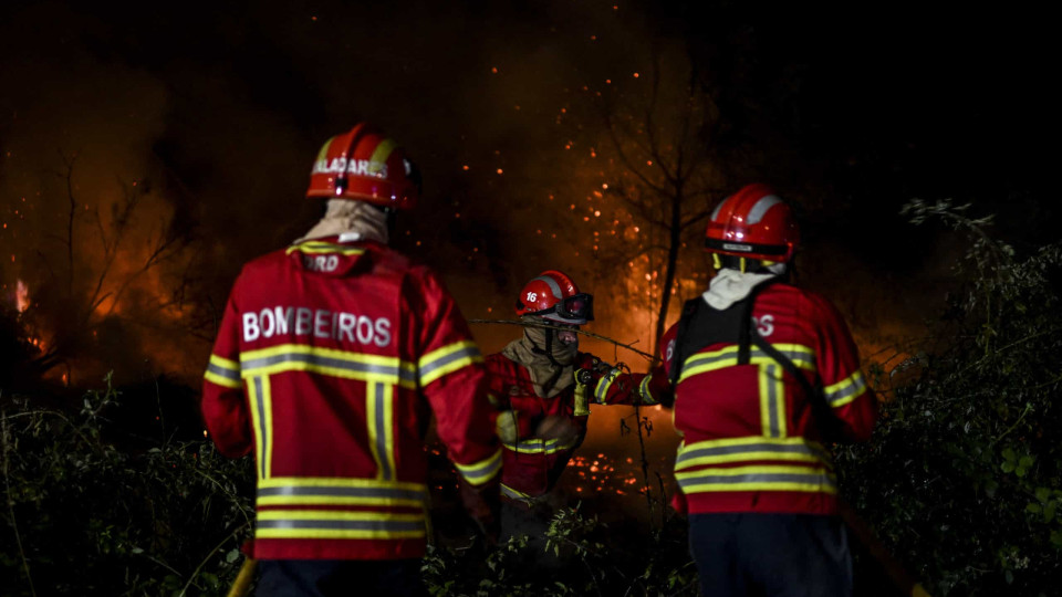 Two fires remain active in a bush area in the district of Bragança