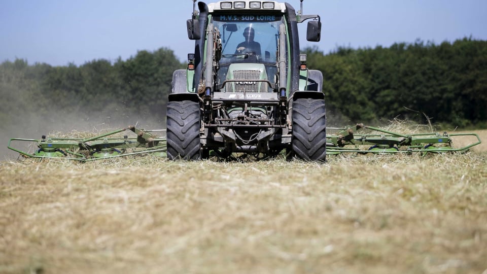 Pilot project will study agricultural soils in Torres Vedras