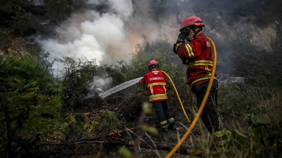 Six aerial assets and 150 operational personnel combat fire in Vila Pouca de Aguiar