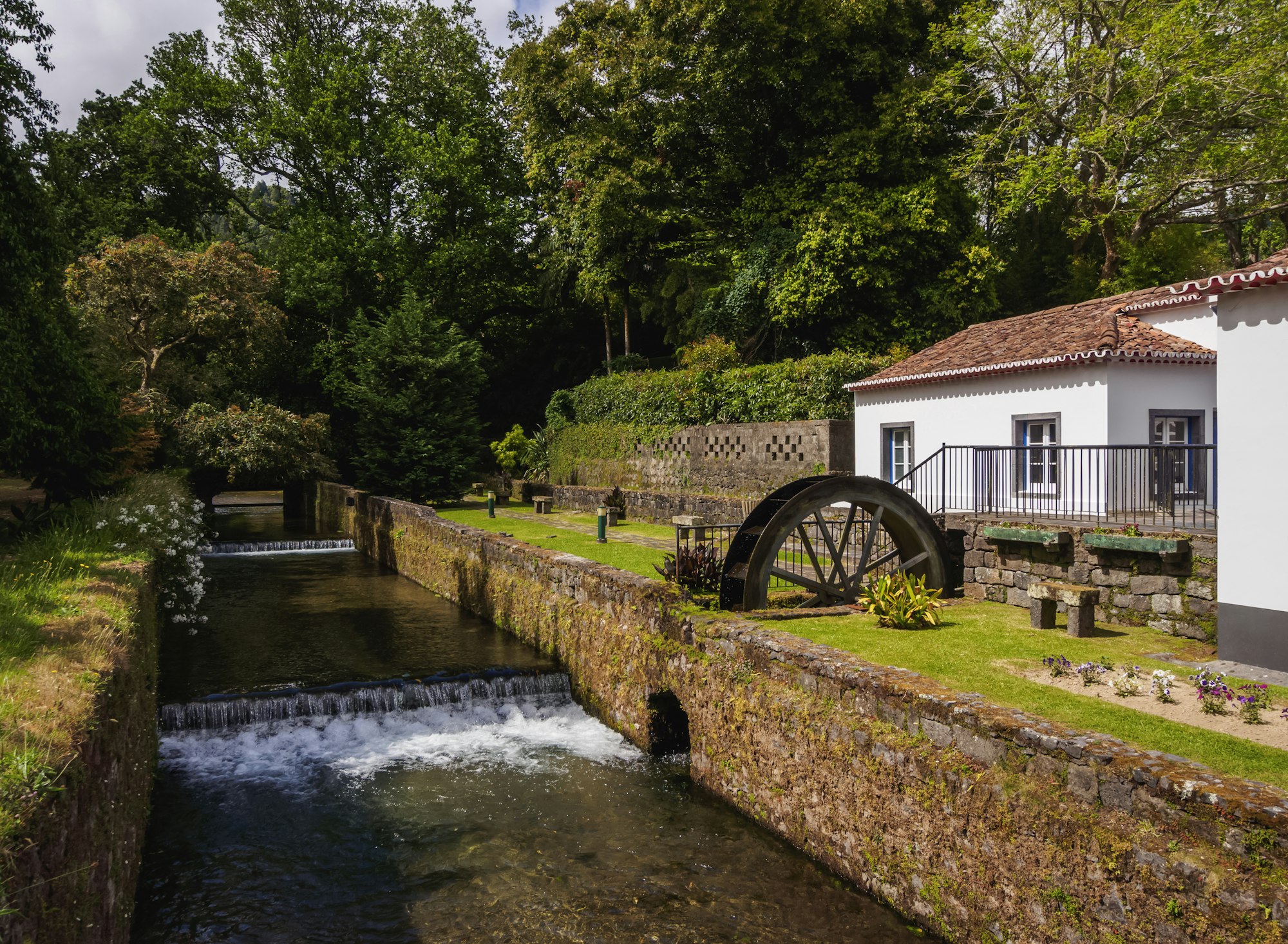 River in Furnas on Sao Miguel Island