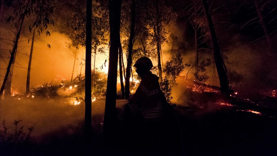 Fire controlled in Ourém that had cut off IC9