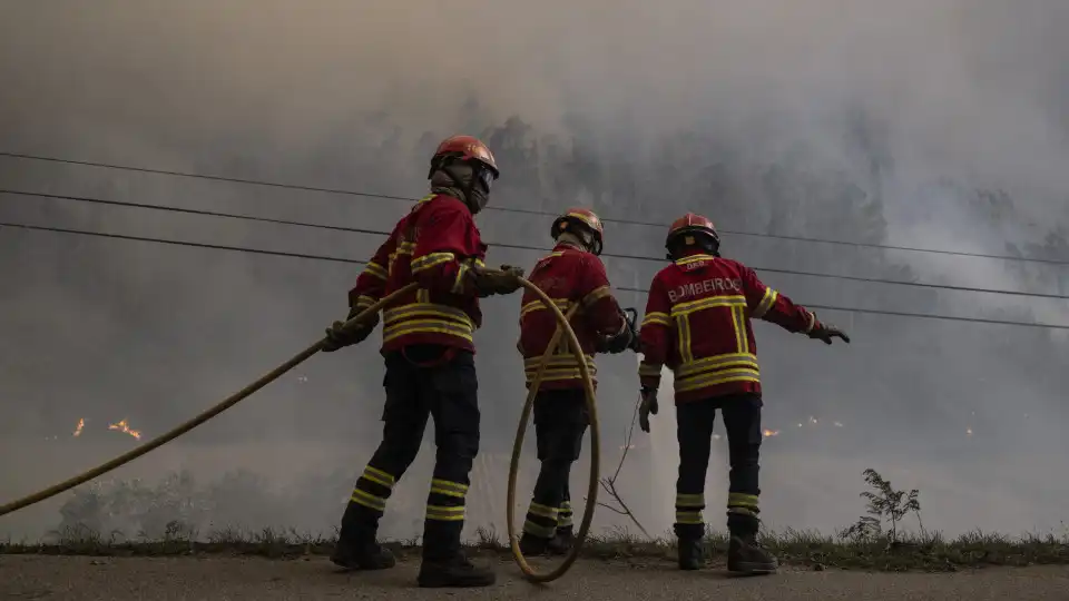 Flames contained in Carregal do Sal after night of combat